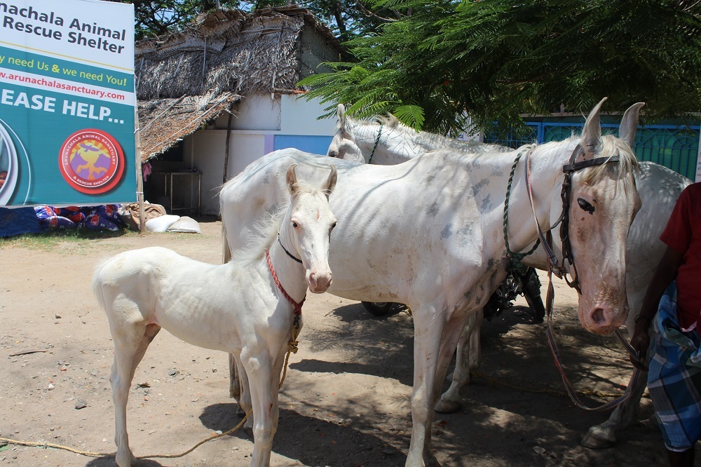 The babe came with her mom for treatment.