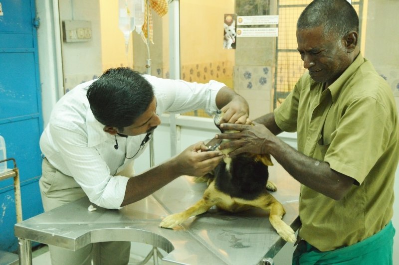 His dog was fine...But he was suffering.