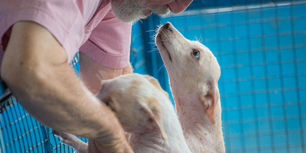 06-20121226114933-RD_20401