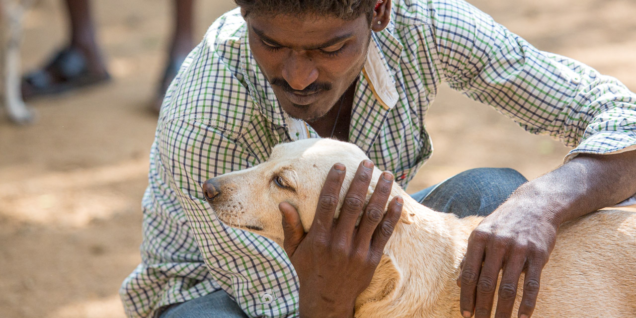 13-20131230150810-RD_36646