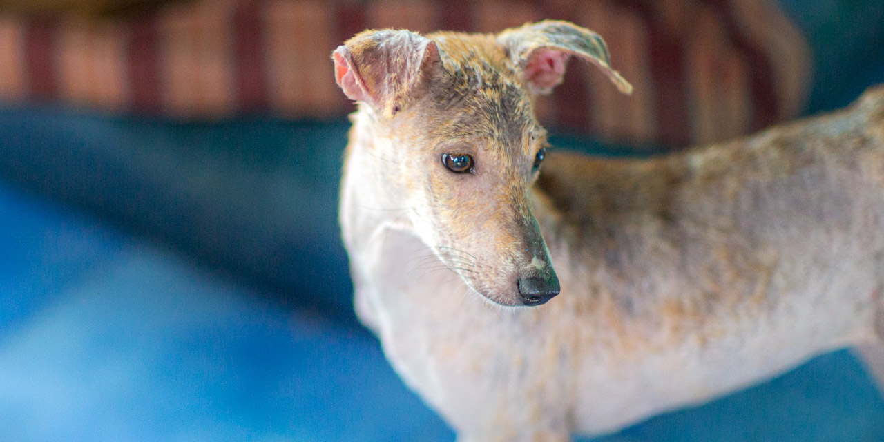 14-20131230153504-RD_37072