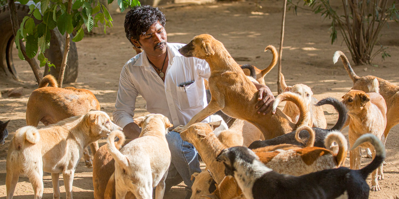 20131230150716-RD_36609