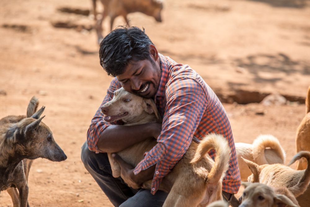 Welcome. Welcome..to our beloved Shelter.