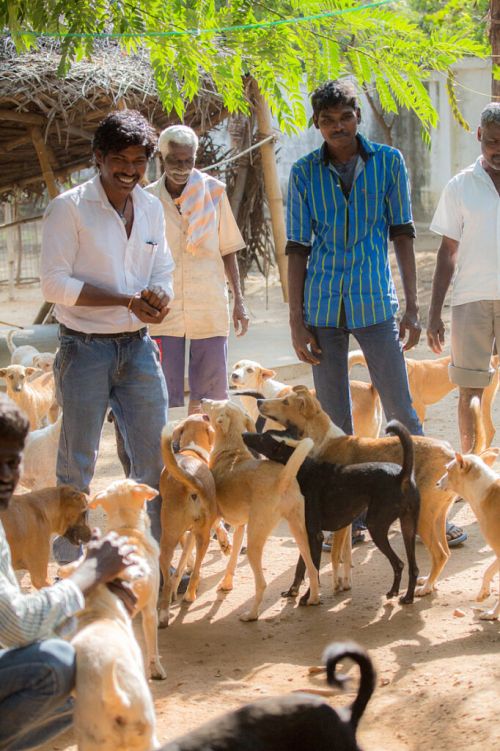 Welcome to our beloved Shelter!